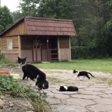 Gospodarstwo agro-eko turystyczne