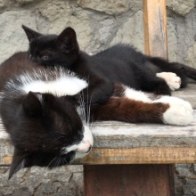 Gospodarstwo agro-eko turystyczne