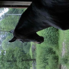 Gospodarstwo agro-eko turystyczne