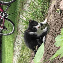 Gospodarstwo agro-eko turystyczne