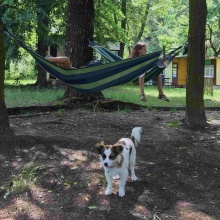 Gospodarstwo agro-eko turystyczne