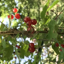 Gospodarstwo agro-eko turystyczne