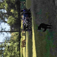 Gospodarstwo agro-eko turystyczne