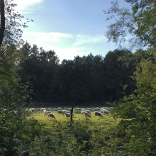 Gospodarstwo agro-eko turystyczne