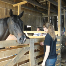 Gospodarstwo agro-eko turystyczne