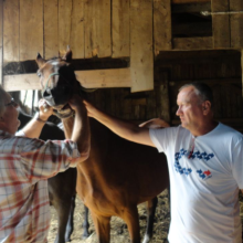 Gospodarstwo agro-eko turystyczne