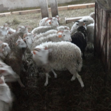 Gospodarstwo agro-eko turystyczne