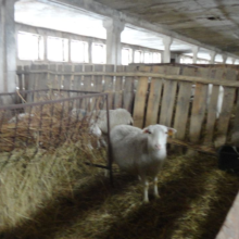 Gospodarstwo agro-eko turystyczne