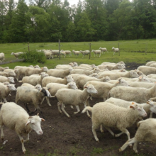 Gospodarstwo agro-eko turystyczne