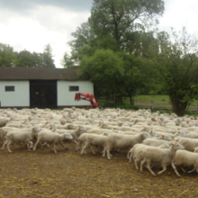 Gospodarstwo agro-eko turystyczne