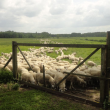 Gospodarstwo agro-eko turystyczne