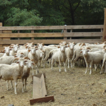 Gospodarstwo agro-eko turystyczne