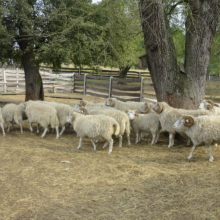 Gospodarstwo agro-eko turystyczne