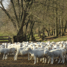 Gospodarstwo agro-eko turystyczne
