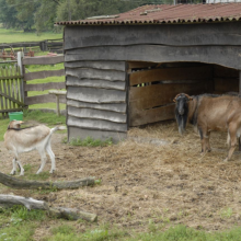 Gospodarstwo agro-eko turystyczne