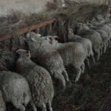 Gospodarstwo agro-eko turystyczne