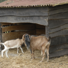 Gospodarstwo agro-eko turystyczne