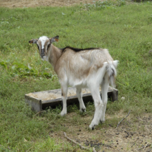 Gospodarstwo agro-eko turystyczne