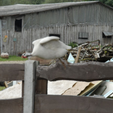 Gospodarstwo agro-eko turystyczne