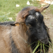 Gospodarstwo agro-eko turystyczne