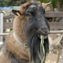 Gospodarstwo agro-eko turystyczne