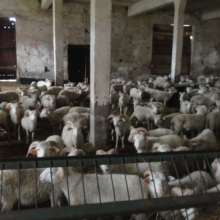 Gospodarstwo agro-eko turystyczne