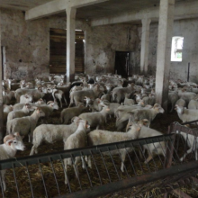 Gospodarstwo agro-eko turystyczne