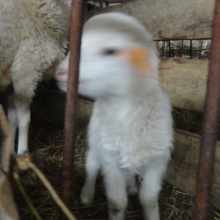 Gospodarstwo agro-eko turystyczne