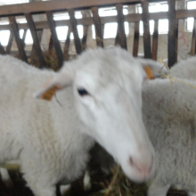 Gospodarstwo agro-eko turystyczne