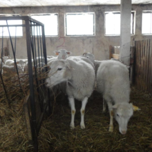 Gospodarstwo agro-eko turystyczne